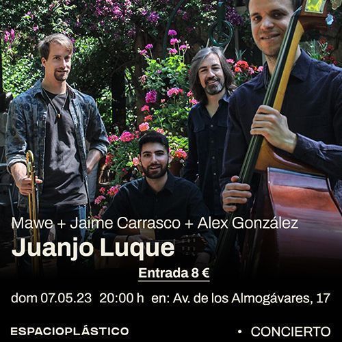 Juanjo-Luque,-en-concierto